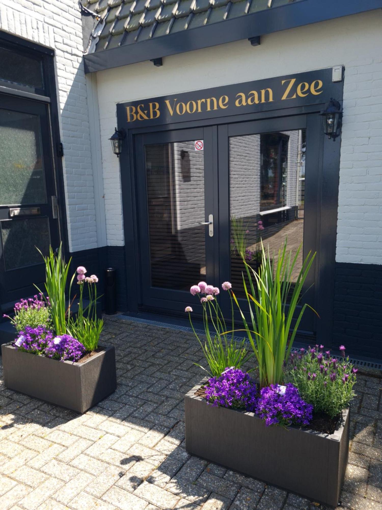 B&B Voorne Aan Zee Rockanje Kültér fotó